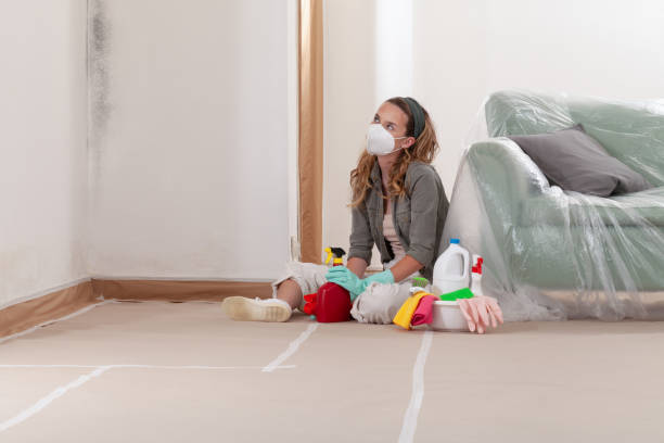 Reliable Mold Remediation contractor in West New York, NJ by Cheap Mold Removal